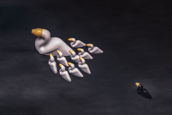 Photograph Antonio Coelho The Ugly Duck on One Eyeland