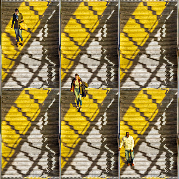 Photograph Paul Brouns Lines Of Descendance on One Eyeland