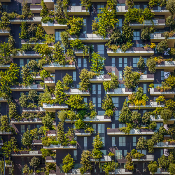 Photograph Paul Brouns Vertical Forest on One Eyeland