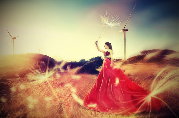 Photograph Fidel Mullaoglu Wedding Wind on One Eyeland