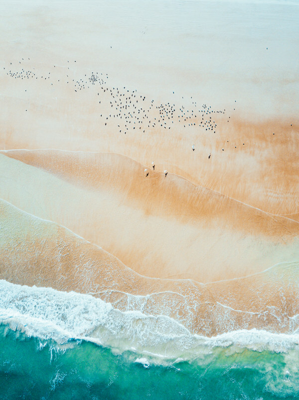 Photograph Anthony Rayburn Three Little Birds on One Eyeland