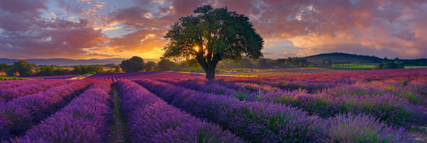 Photograph Peter Lik A Morning In France on One Eyeland