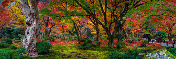 Photograph Peter Lik Autumn Jewel on One Eyeland