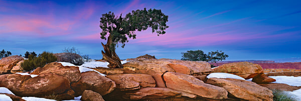 Photograph Peter Lik Desert Moods on One Eyeland