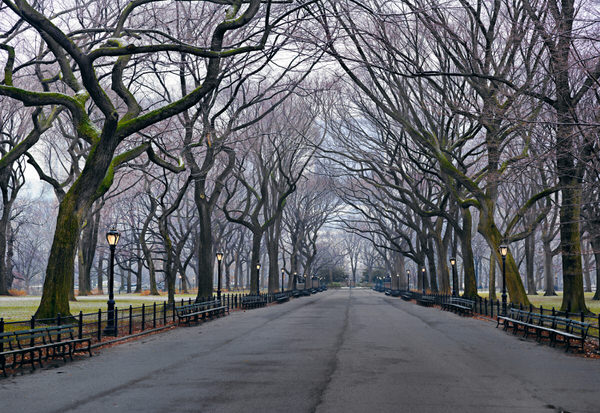 Photograph Peter Lik Sunday 547 on One Eyeland