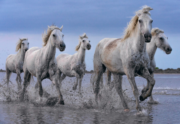 Photograph Peter Lik Wanderlust on One Eyeland