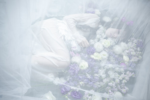 Photograph Danduka Yasuo Water Flower on One Eyeland