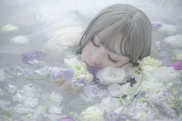 Photograph Danduka Yasuo Water Flower on One Eyeland