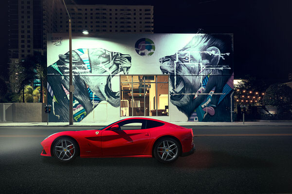 Photograph Giacomo Antico F12 Between Cats on One Eyeland