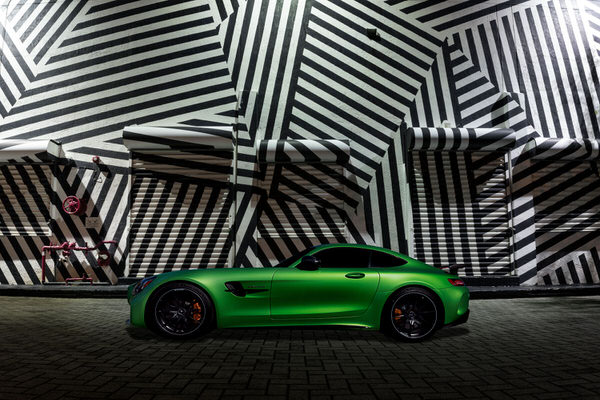 Photograph Giacomo Antico Green Zebra on One Eyeland