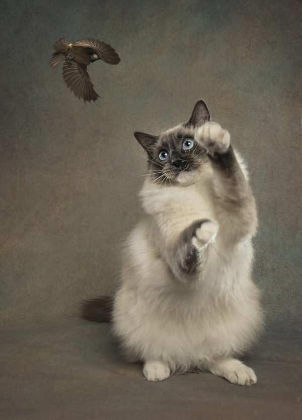 Photograph Angi Wallace The Dance on One Eyeland