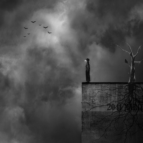 Photograph Gus Fine Art The Pest on One Eyeland