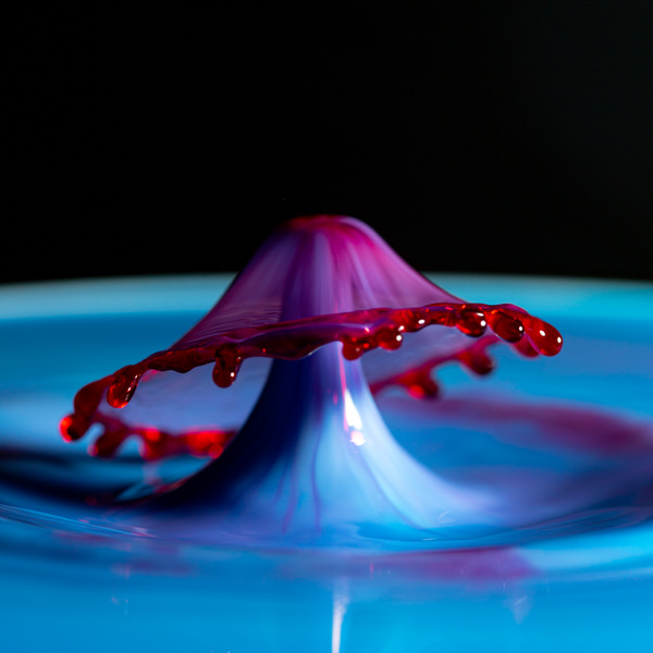 Photograph Wiessler Jacques Champignon Liquide on One Eyeland