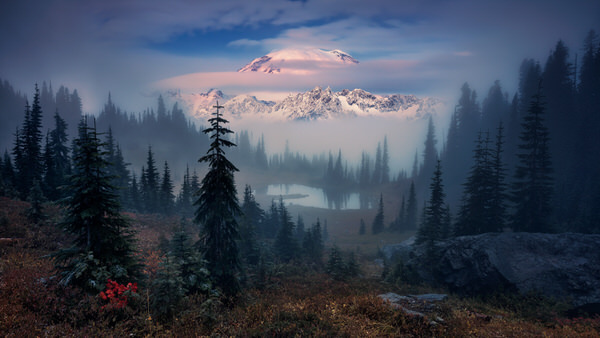 Photograph Felix Roeser Hide And Seek on One Eyeland