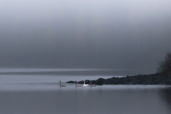 Photograph Tapio Hyvonen Cp_9 on One Eyeland