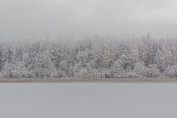 Photograph Tapio Hyvonen Cp_10 on One Eyeland