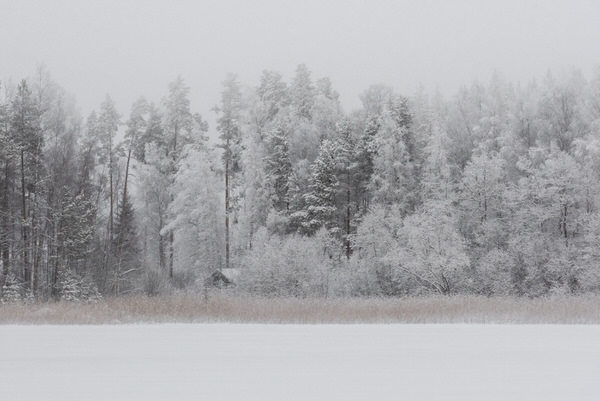 Photograph Tapio Hyvonen Cp_11 on One Eyeland