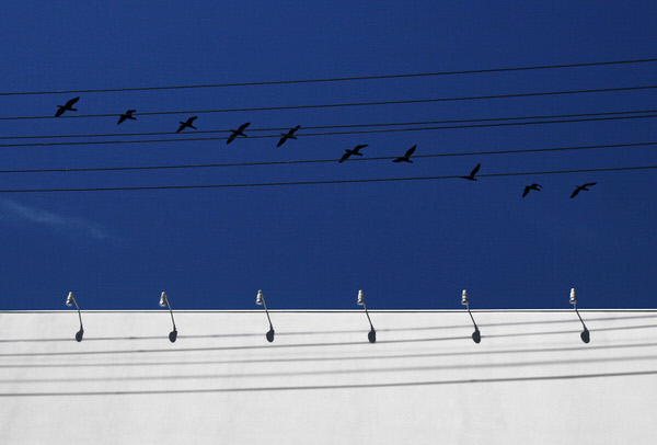 Photograph Kazutoshi Kawakami Symphony on One Eyeland