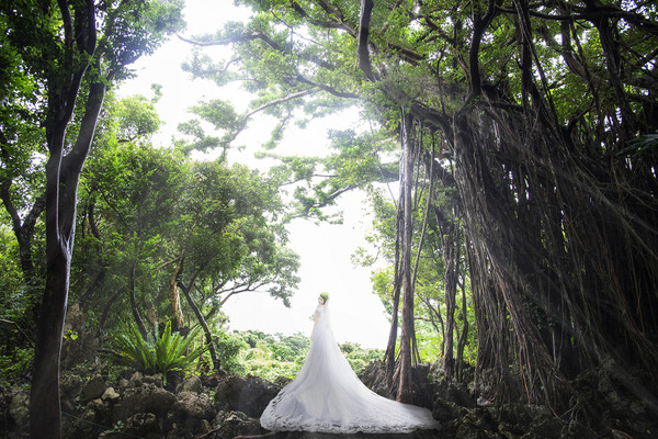 Photograph Kazutoshi Kawakami Forest Sigh on One Eyeland
