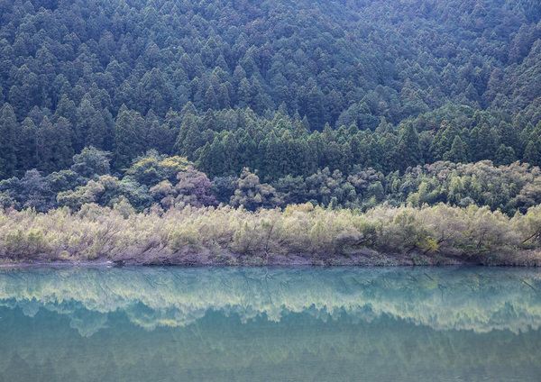 Photograph Kousuke Kitajima The Trees on One Eyeland