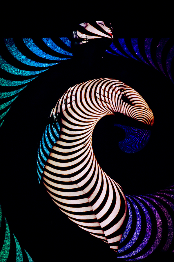 Photograph Ruslan Bolgov The Snake on One Eyeland