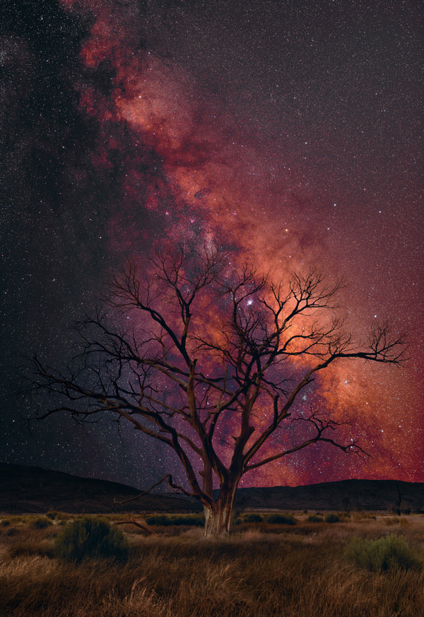 Photograph Peter Lik Stargazer on One Eyeland