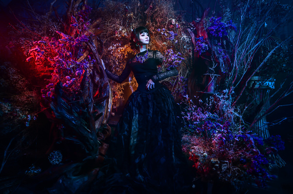 Photograph Haseo Hasegawa Alice World 1 on One Eyeland