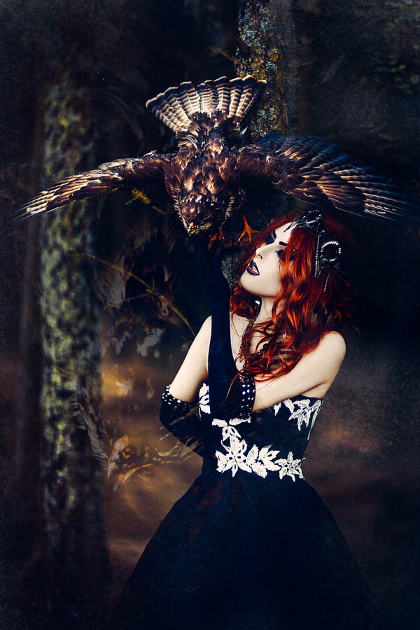 Photograph Ruslan Bolgov Fly My Hawk on One Eyeland