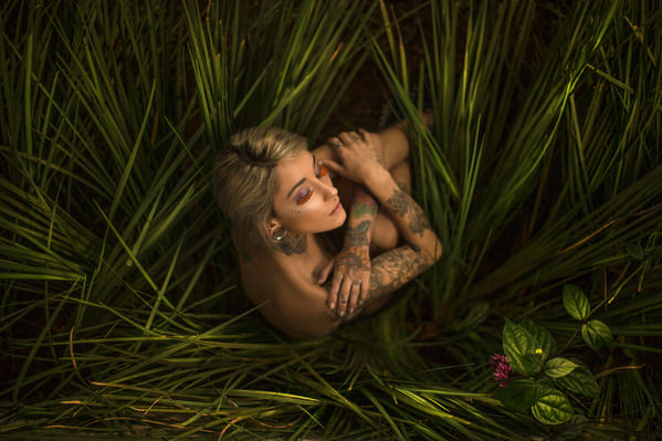 Photograph Junior Luz Power Of Love on One Eyeland