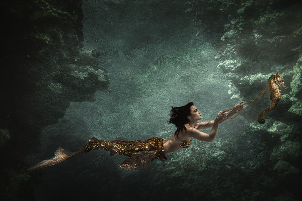 Photograph Stephan Ernst Riding My Seahorse on One Eyeland