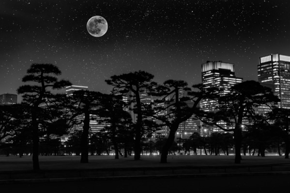 Photograph Jin Tamaoki Under The Universe Imperial Palace Square Japan on One Eyeland