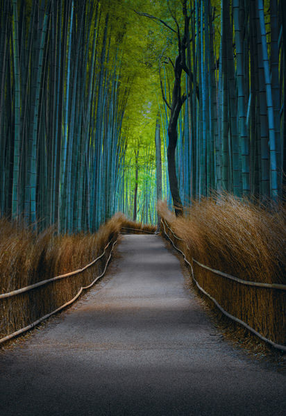 Photograph Peter Lik Kyoto Dreaming on One Eyeland