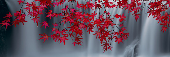 Photograph Peter Lik Scarlet Falls on One Eyeland
