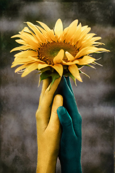 Photograph Anna Degtyareva Keeper Of The Sun on One Eyeland