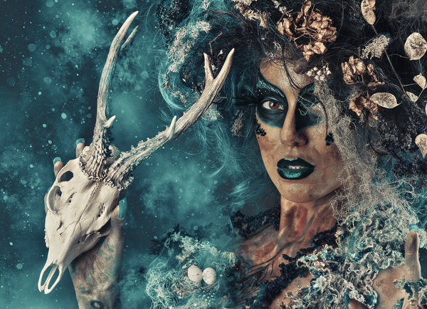 Photograph Angi Wallace Spirit on One Eyeland