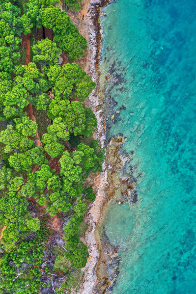 Photograph Tomas Neuwirth Coast on One Eyeland