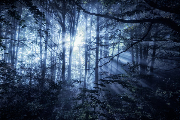 Photograph Jorge Gonzalez Herrera Blue Velvet on One Eyeland