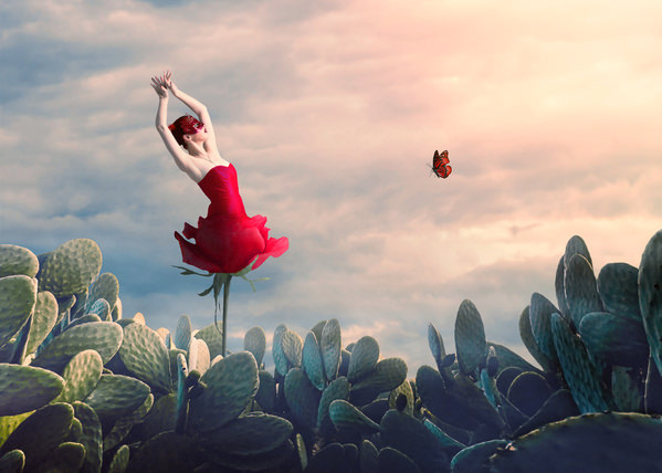 Photograph Aryana Golchin Success on One Eyeland
