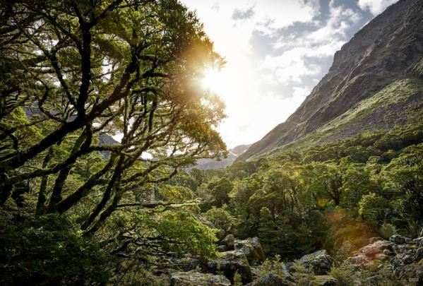 Photograph Stephan Romer Gertrude Valley on One Eyeland