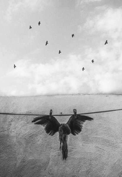 Photograph Daniyal Arabzadeh Limbo on One Eyeland