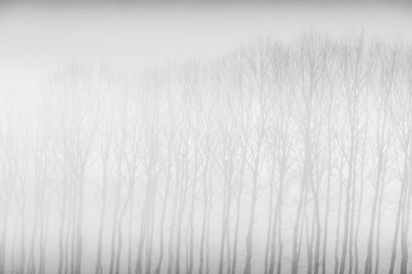 Photograph Jorge Gonzalez Herrera Fantasma on One Eyeland
