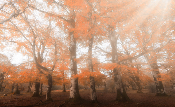 Photograph Jorge Gonzalez Herrera Dreams on One Eyeland
