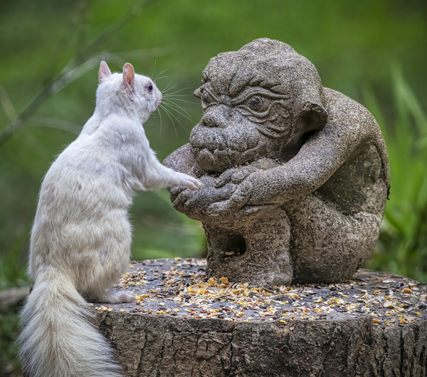 Photograph Larry Hamill Conversation on One Eyeland