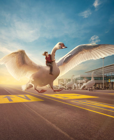 Photograph Evgeny Loza Broiler 747 on One Eyeland
