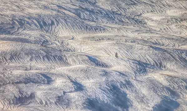 Photograph Peter Svoboda Facing The Winds on One Eyeland