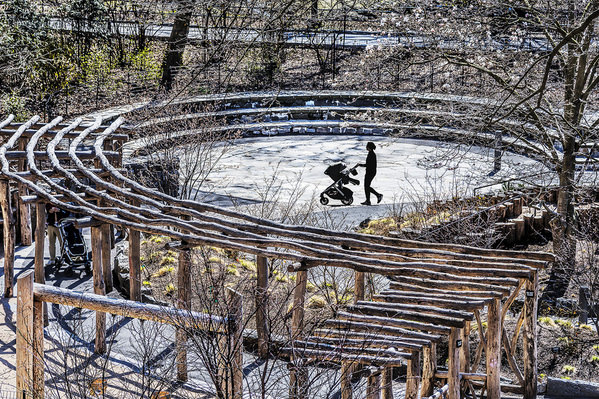 Photograph Mitchell Funk Central Park 1 on One Eyeland