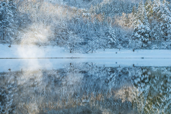 Photograph Kazuaki Koseki Forest Shine on One Eyeland