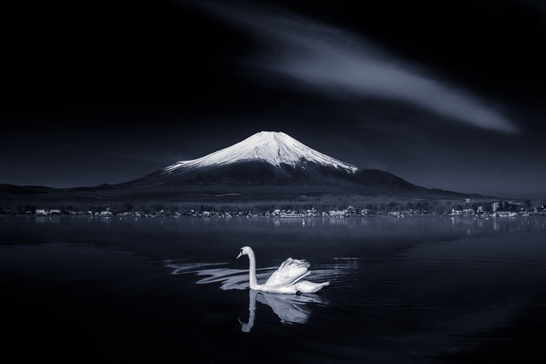 Photograph Takashi  Swan On Mirror on One Eyeland