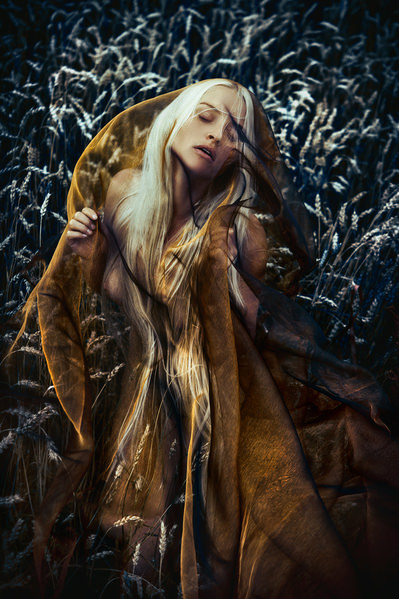 Photograph Ruslan Bolgov Fields Of Gold on One Eyeland