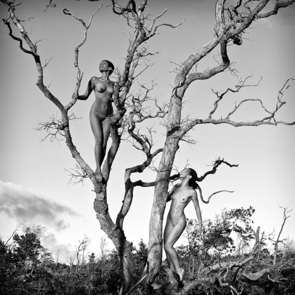 Photograph Roberto Manetta Temptation Tree on One Eyeland